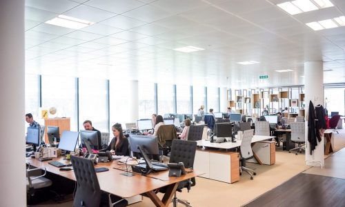 Psychological safety in the workplace