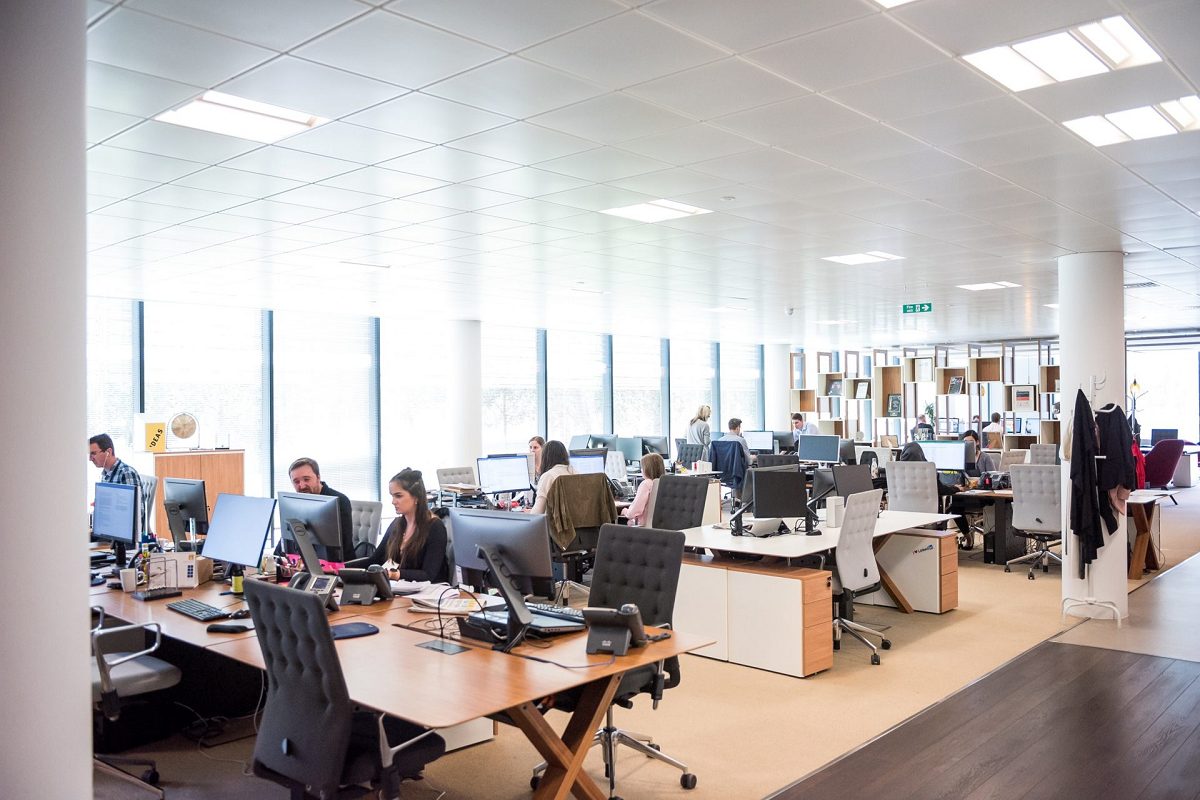 Psychological safety in the workplace